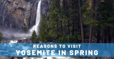 5 Reasons to Visit Yosemite in Spring
