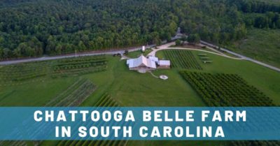 Views & Booze at Chattooga Belle Farm: A South Carolina Hidden Gem