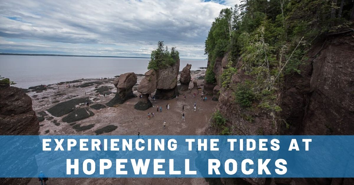 Discover & Experience the Bay of Fundy Tides