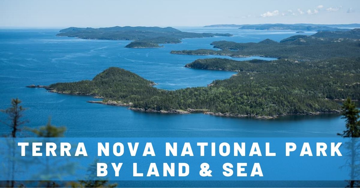 6 Amazing Ways of Exploring Terra Nova National Park in