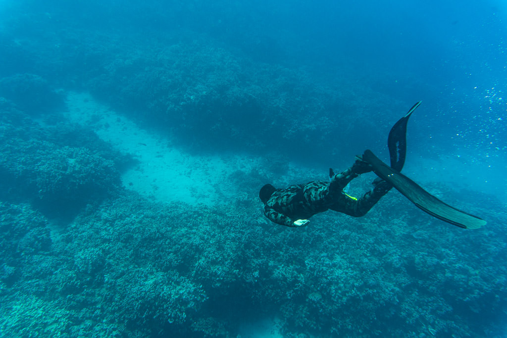 Best Snorkeling in Molokai with Molokai Fish and Dive