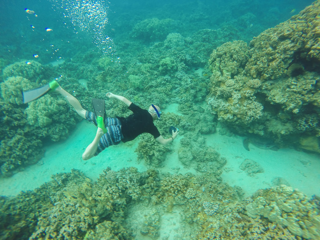 Snorkeling in Molokai with Sea Turtles & Reef Fish Trailing Away