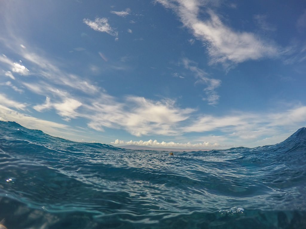 Best Snorkeling in Molokai with Molokai Fish and Dive