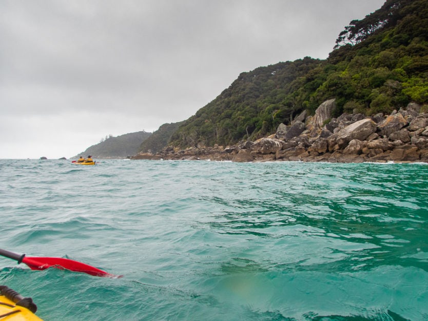 kayaking in Brereton Cove