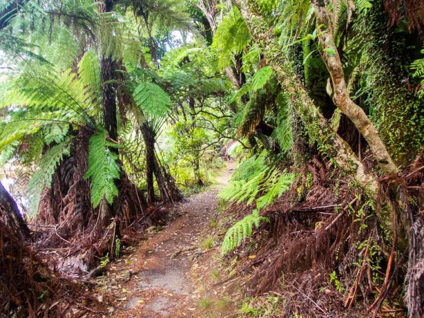 part of the Abel Tasman Coast Track near Onetahuti Bay