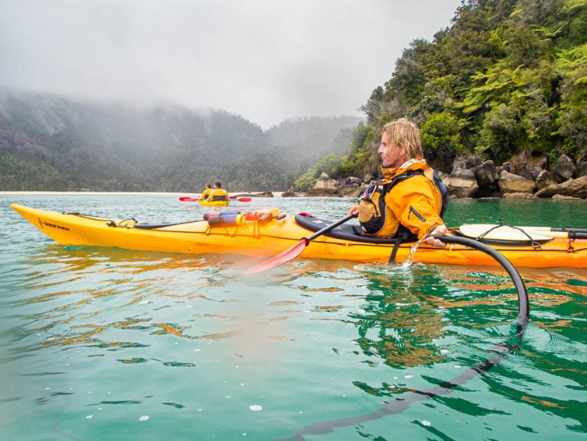 drinking the fresh spring water in abel tasman national park near Bark Bay