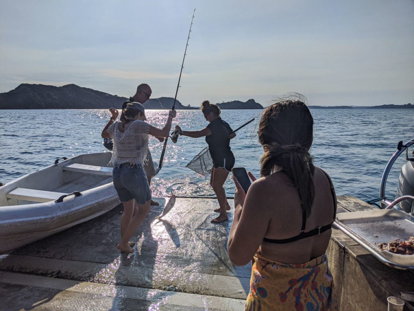 fishing bay of islands cruise