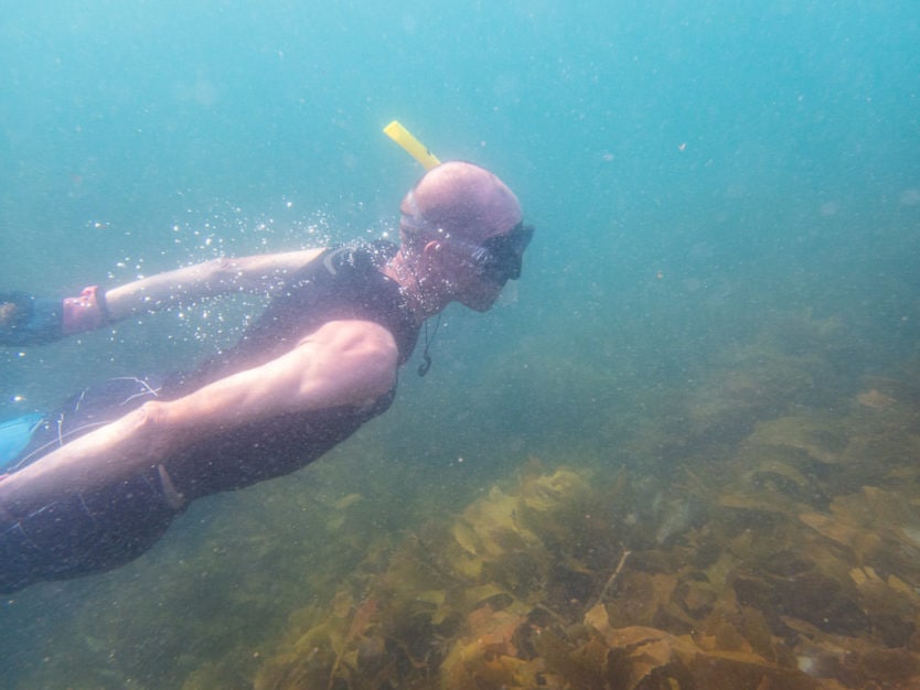 bay of islands snorkeling on the rock overnight cruise boat