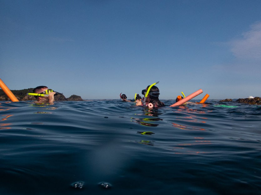 bay of islands snorkeling on the rock overnight cruise boat
