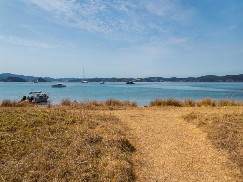 Motuarohia bay of islands explorations on rock the boat