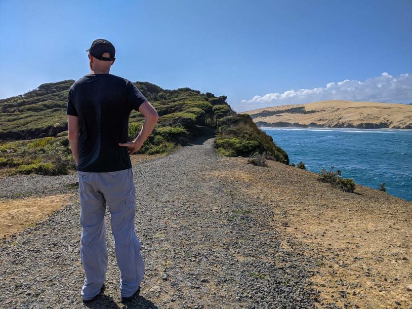 Arai te Uru Nature Reserve  in northland new zealand