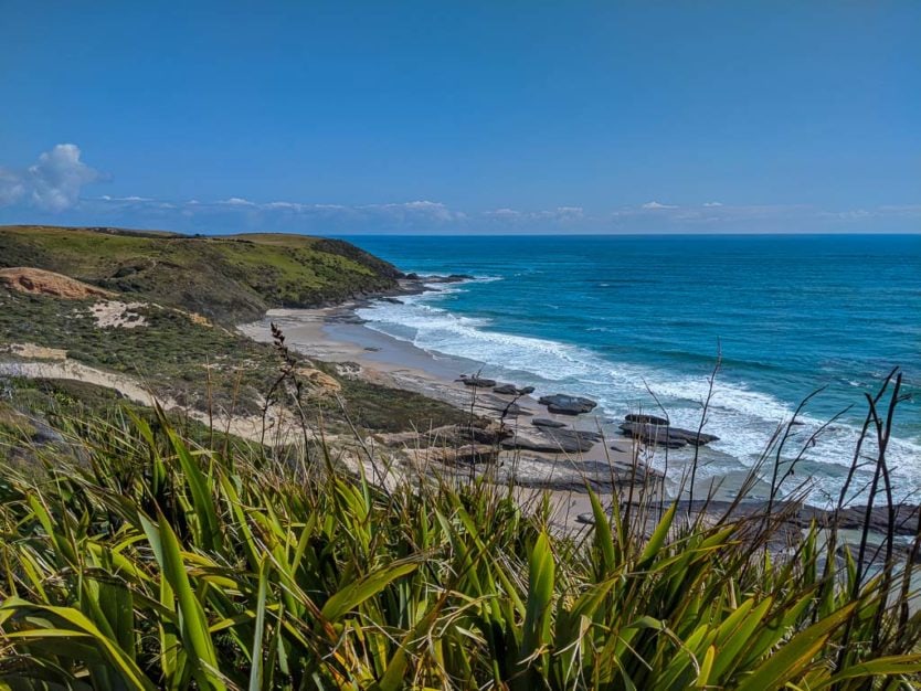Arai te Uru Nature Reserve  in northland new zealand
