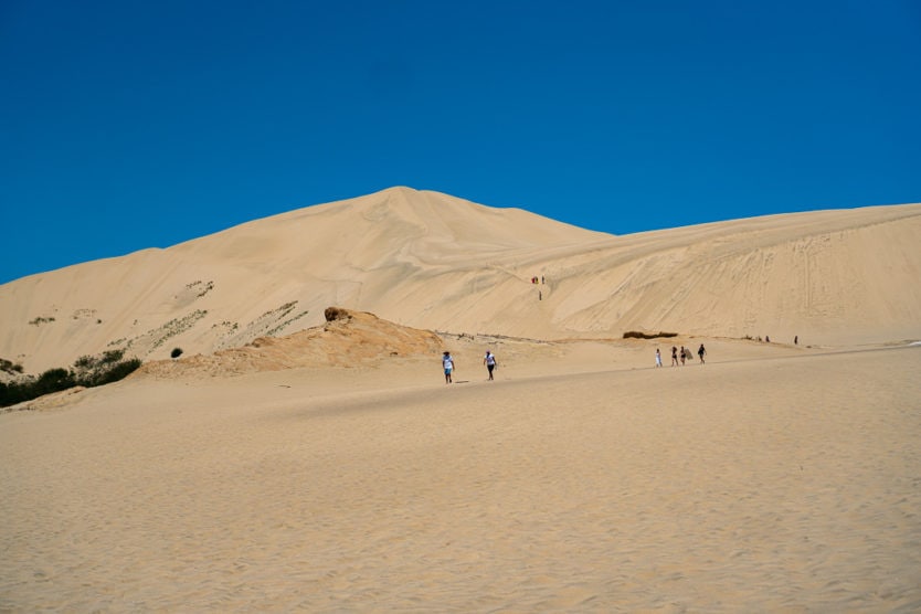 te paki sand dunes northland new zealand