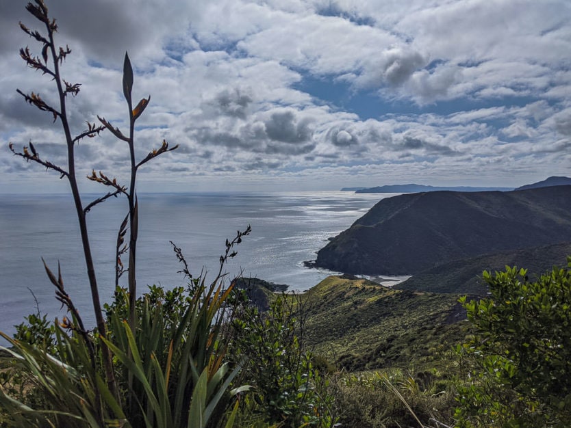 northland cape reinga lighthouse trail