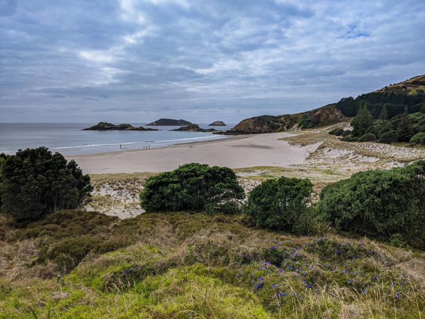 ocean beach in whangarei in northland new zealnad