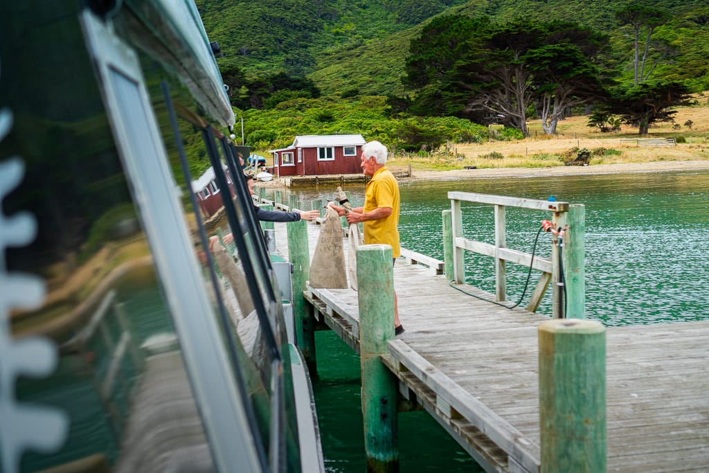 Relaxing Picton Mail Boat Cruise in Queen Charlotte Sound