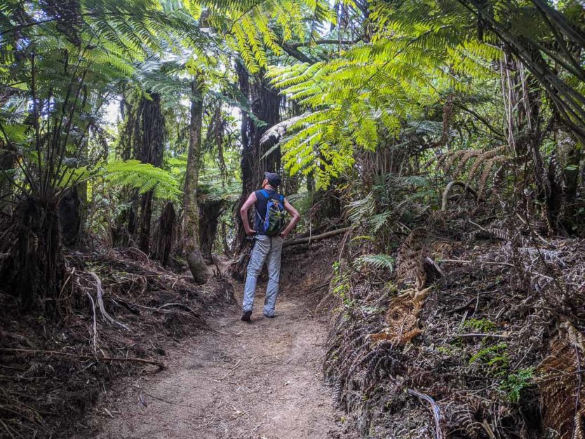 okere falls trail near rotorua