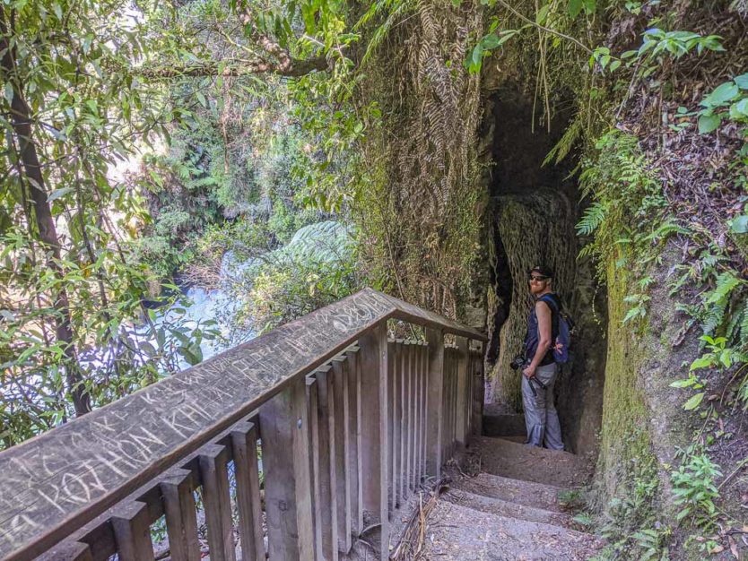 okere falls trail near rotorua