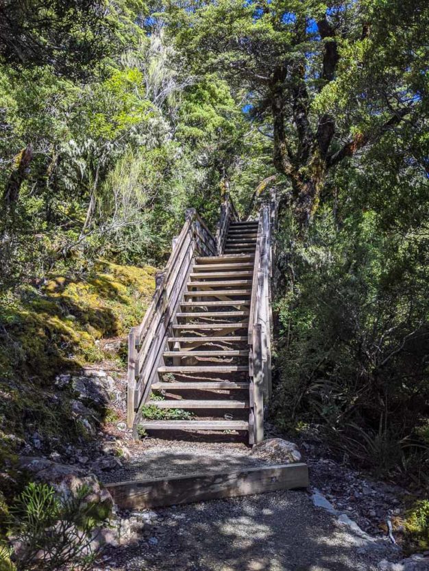 Stairs on the Devils Punchbow Walking Track