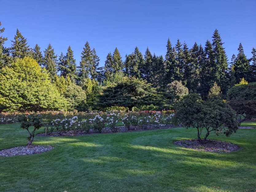 queenstown gardens
