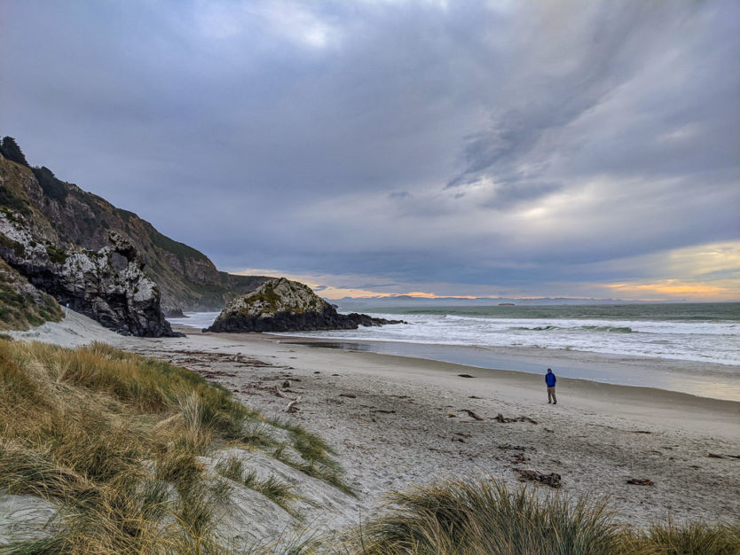 aramoana wildlife area dunedin nz