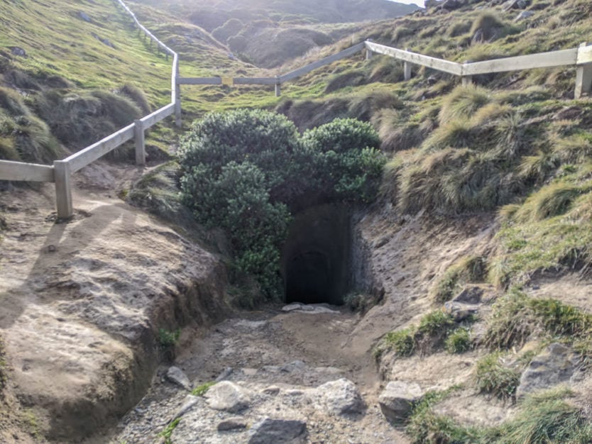 tunnel beach near dunedin nz