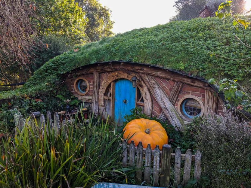 visiting hobbiton in new zealand - hobbit holes