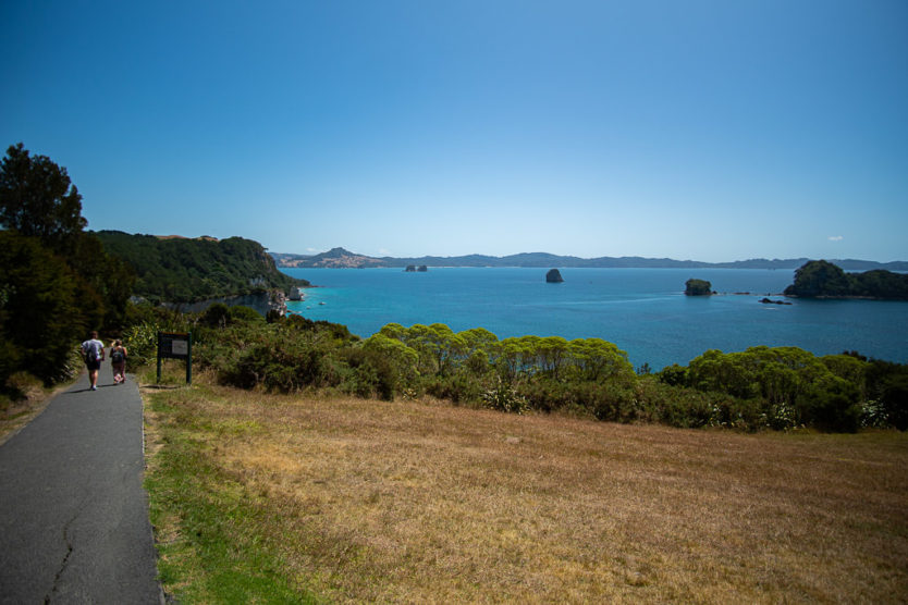 cathedral cove walk in the coromandel nz