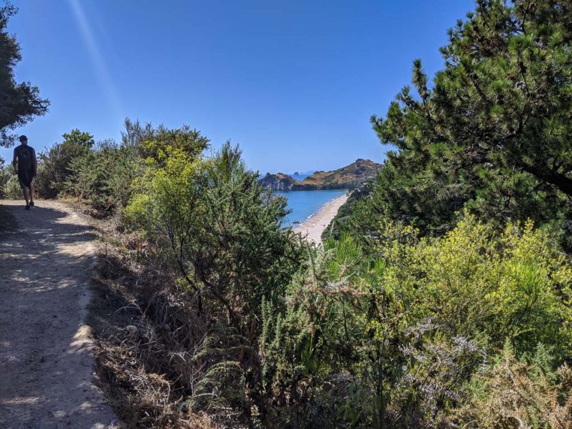 cathedral cove walk in the coromandel nz