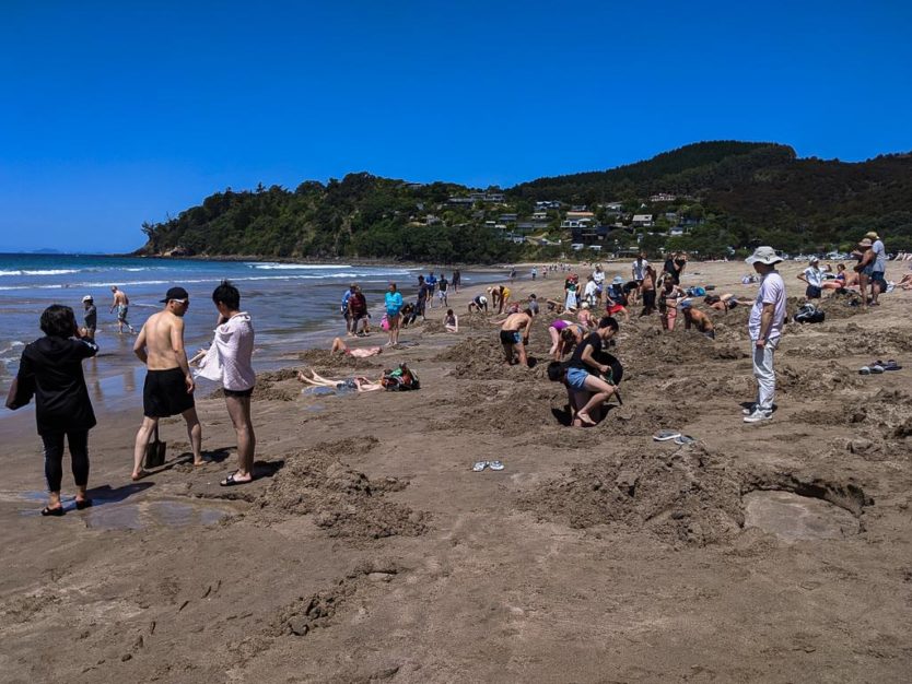 hot water beach coromandel