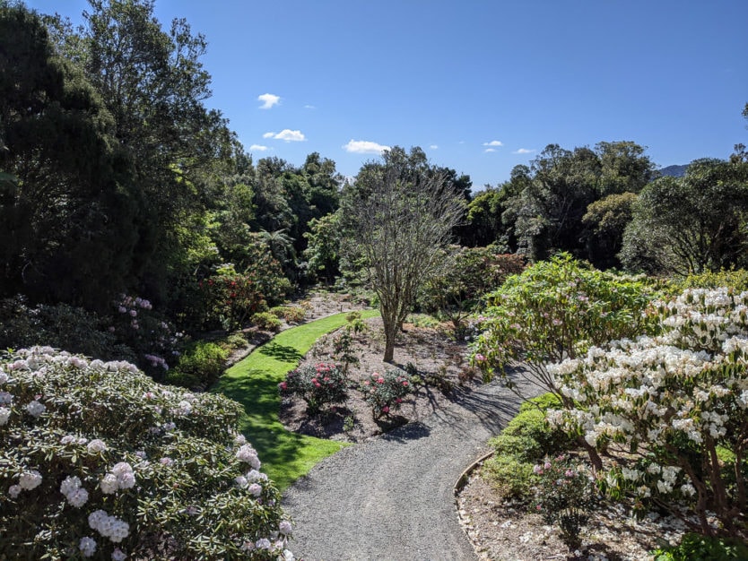 pukeiti botanic gardens new plymouth
