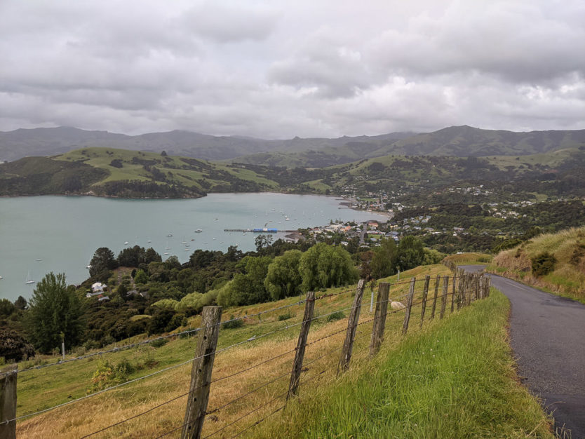 akaroa in new zealand for penguin tour