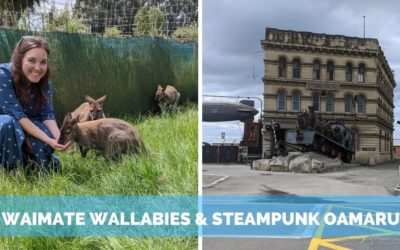 Wallabies in Waimate & Steampunk in Oamaru, NZ