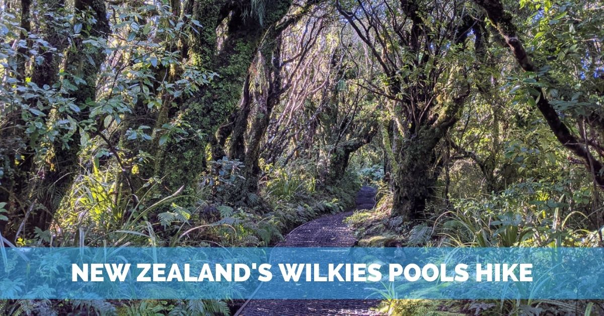 Mount Taranaki’s Wilkies Pools Hike – A Lush Adventure!