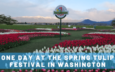 One AMAZING Day at the Skagit Valley Tulip Festival in Washington State
