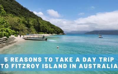 5 Reasons to Take a Day Trip to Fitzroy Island from Cairns, Australia