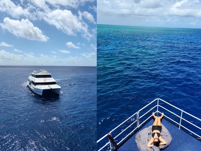 overnight great barrier reef live aboard from cairns