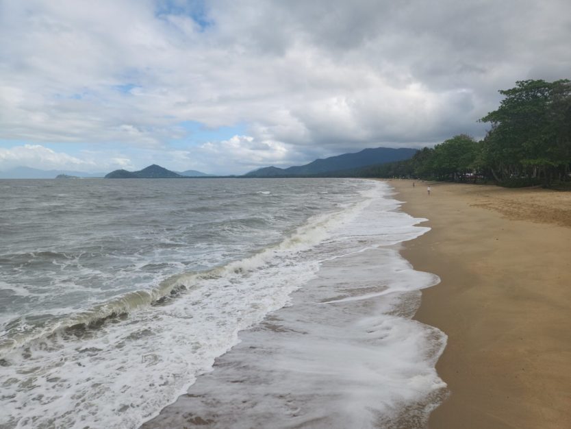 palm cove beach views