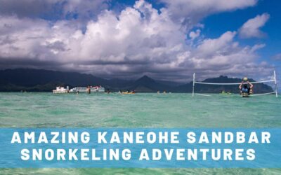 3 AMAZING Kaneohe Sandbar Snorkeling Adventure Options for Your Trip to Hawaii!