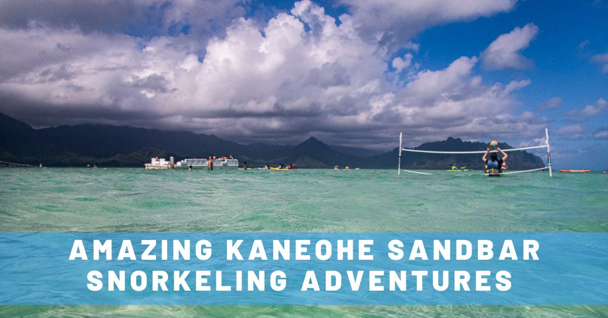 3 AMAZING Kaneohe Sandbar Snorkeling Adventure Options for Your Trip to Hawaii!