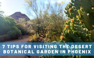 7 Tips for Visiting the Desert Botanical Garden in Phoenix (The Perfect Mother-Daughter Outing!)