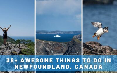 38 Awesome Things to Do in Newfoundland