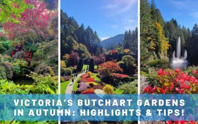 Butchart Gardens in Autumn: A Must-Visit Near Victoria, Canada!