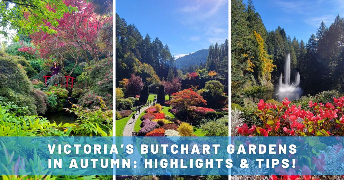 Butchart Gardens in Autumn: A Must-Visit Near Victoria, Canada!